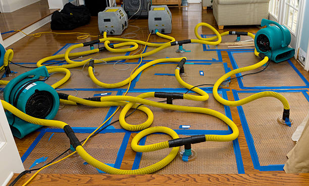 Professional Water Damage Repair technician working in Newburg, WV