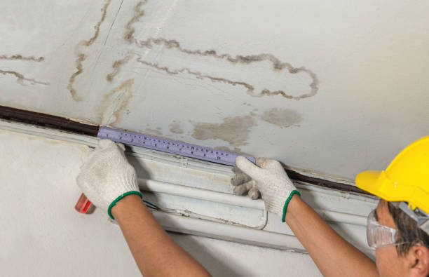Affordable Water Damage Repair solutions in Newburg, WV